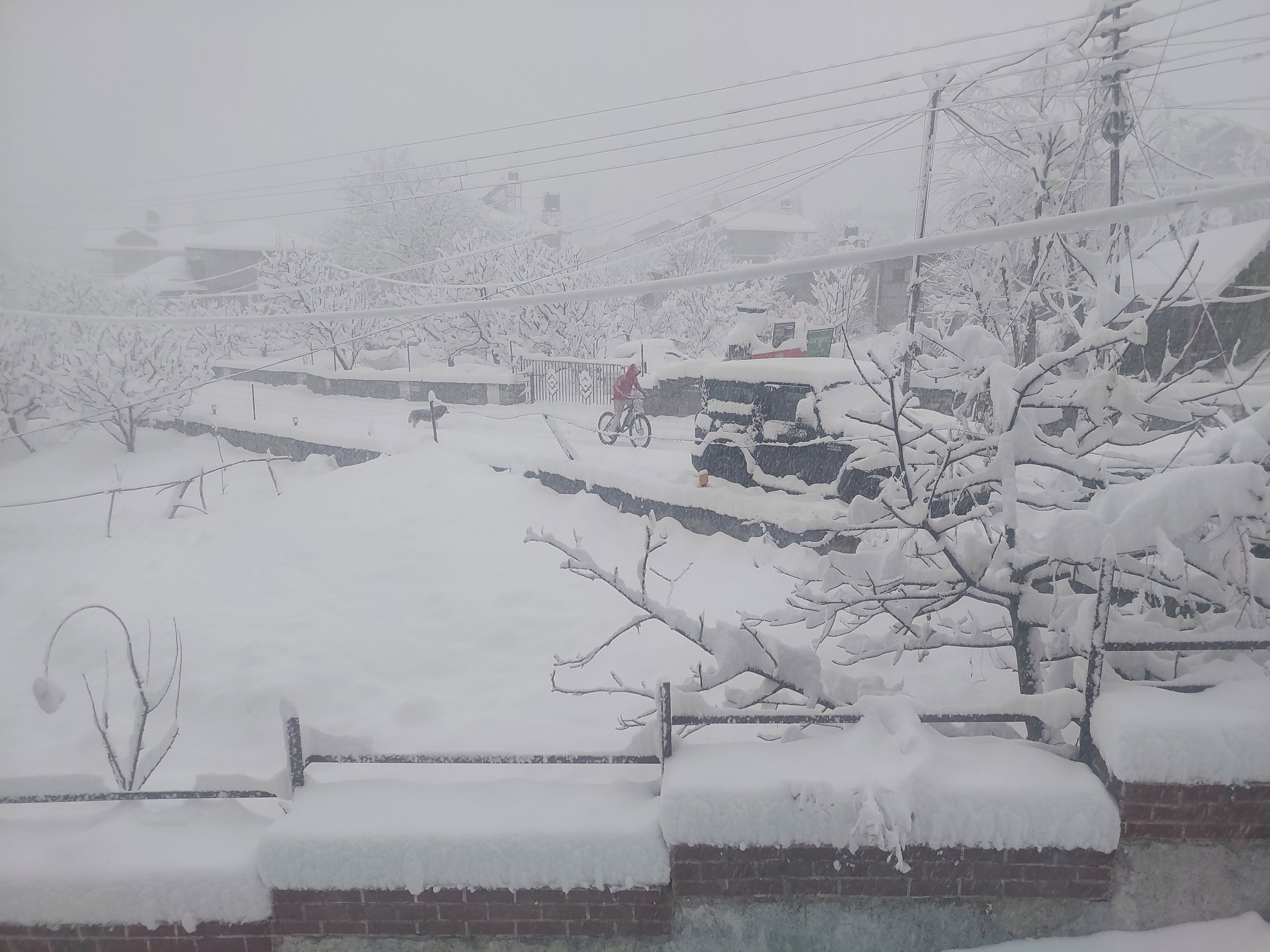 Burwa Winter